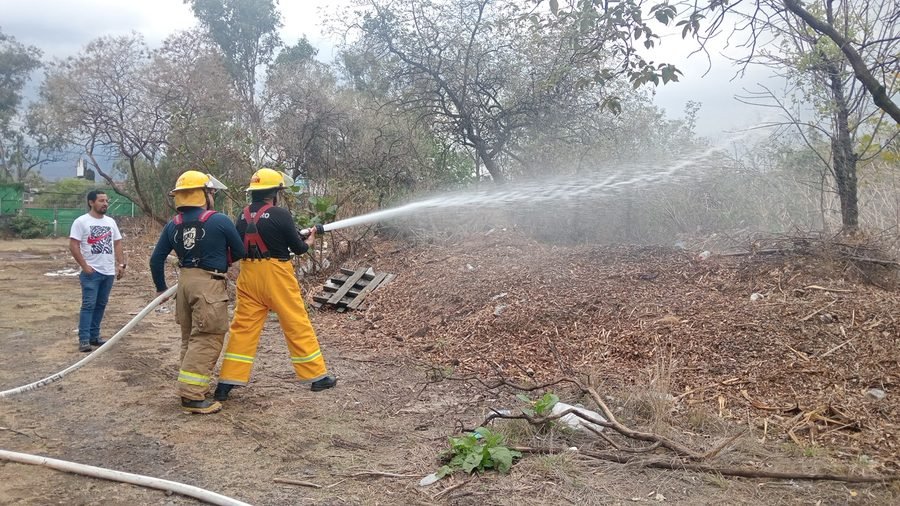 Bomberos con equipo completo combatiendo un incendio de maleza con manguera